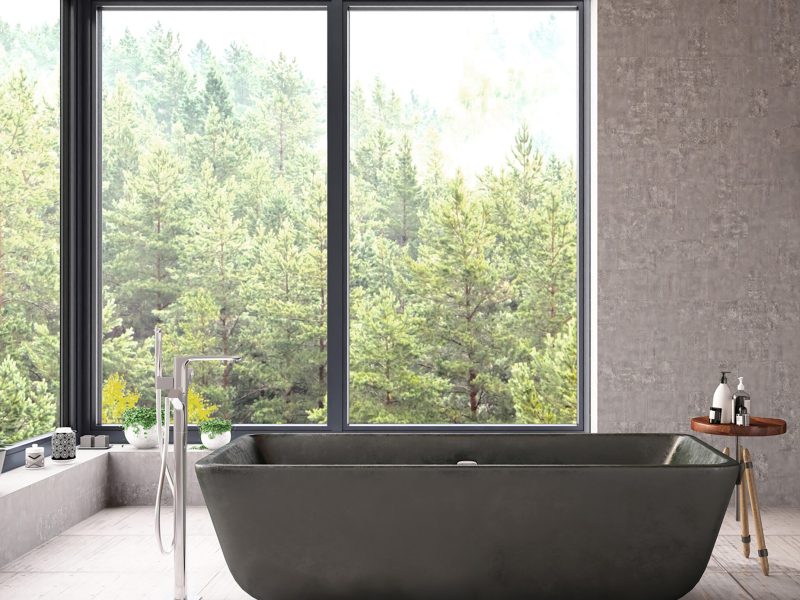 Bathroom Windows